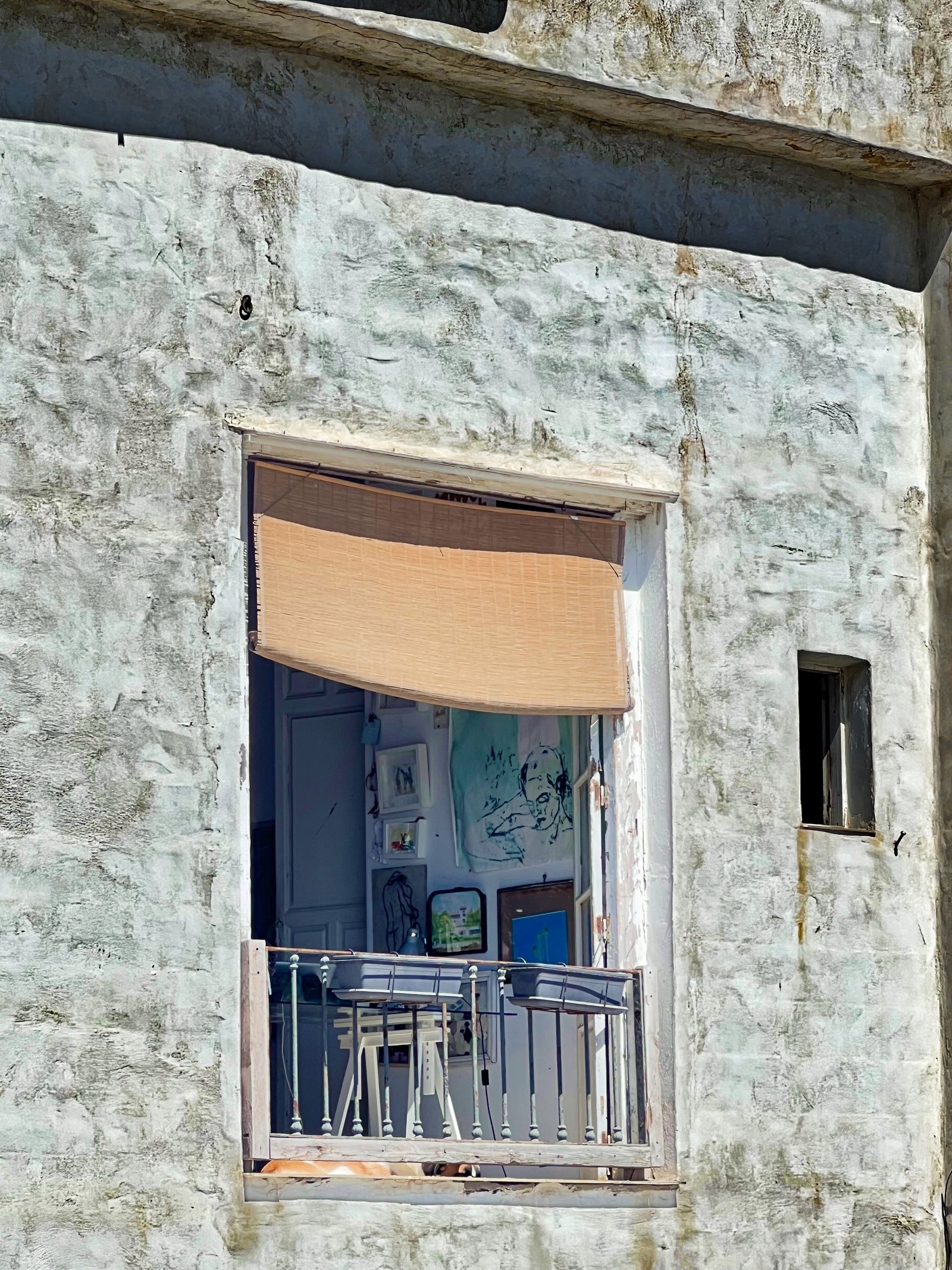 Seek beauty where others can´t — photograph 2