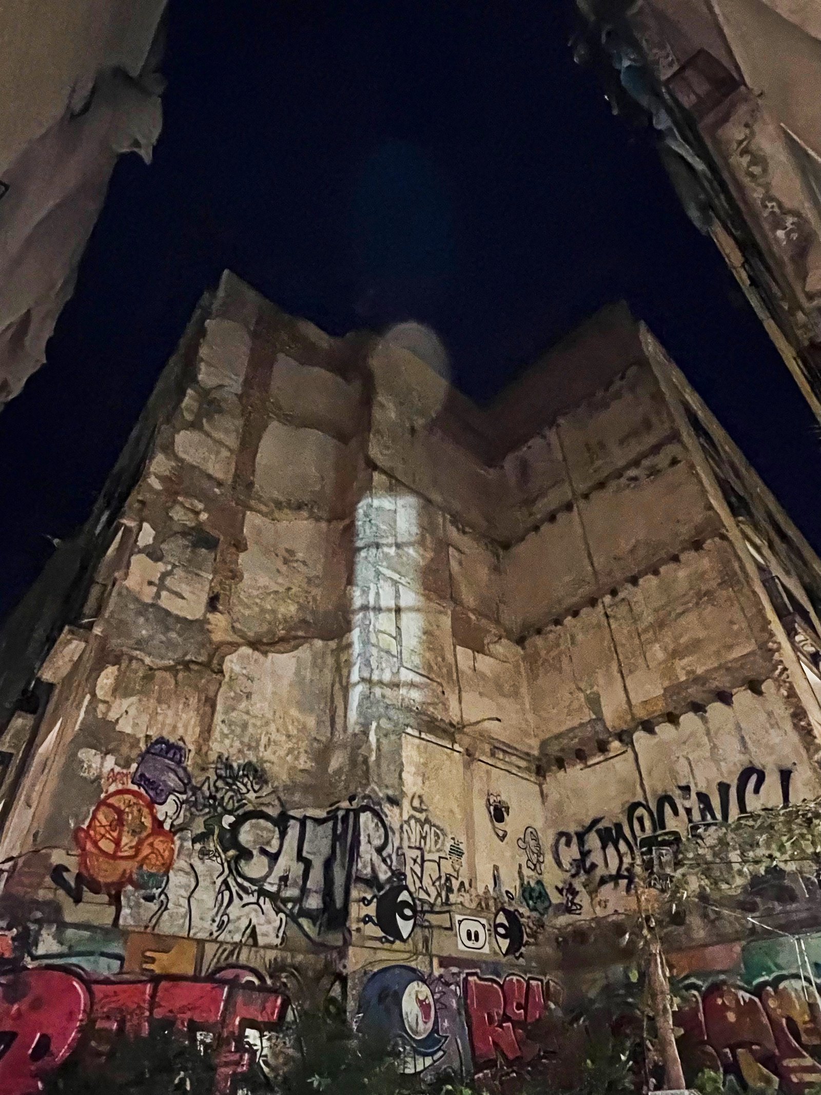 Seek beauty where others can´t — photograph 3